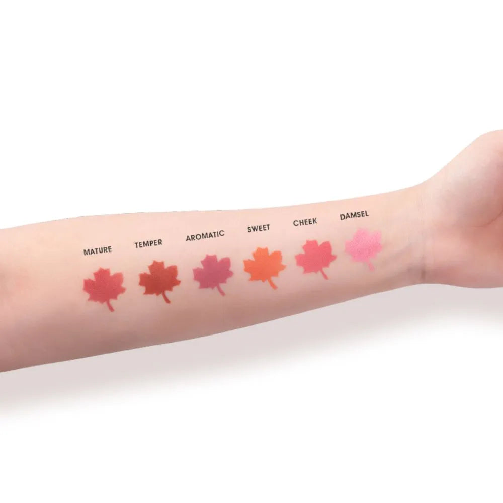 Imagic Touch Blush Palette 6 Color (42.8 gm)